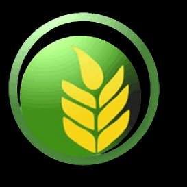 SEO Agrizo